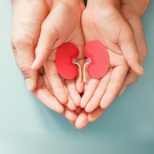 KIDNEY / LIVER CARE